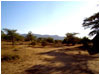 View from Camp