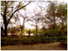 Camp
