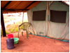 My Tent